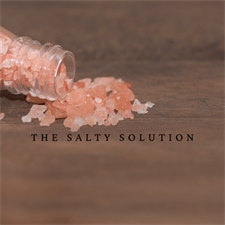 The Salty Solution The Salty Solution