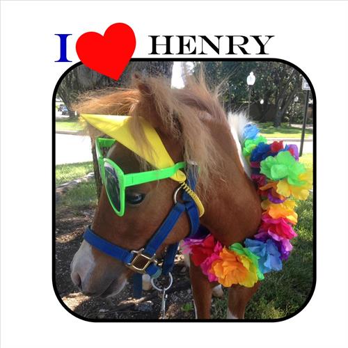Henry the Mini Therapy Horse. Causing Smiles Everywhere He Goes