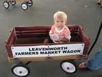 Market Wagons are a fun way to tour the market with your MOM