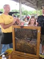 Learning about the importance of bees is part of The Market experience