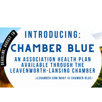Health Plan through Chamber Blue