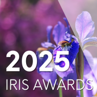 2025 Iris Awards