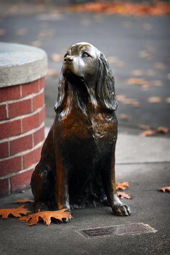 Gallery Image Millie_the_Bronze_Dog_by_the_Liberty_Theatre.JPG
