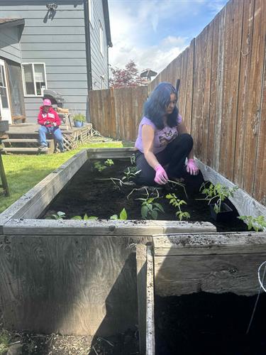Backyard gardening with teens as they transition from foster care to independent living Backyard gardening with teens as they transition from foster care to independent living