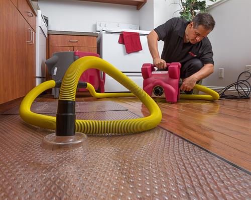 Floor mat system