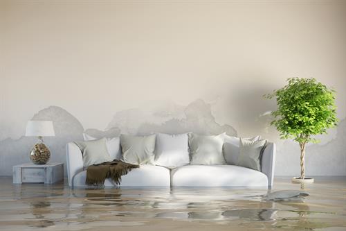 House flood House flood