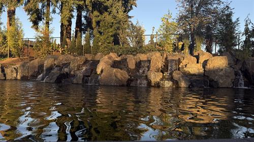 Large water feature and pond by Greenhaven Landscapes