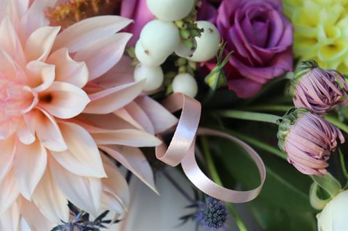 Gallery Image Dahlias.JPG