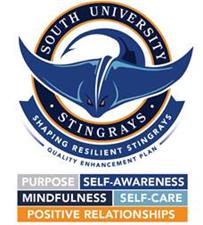 South University