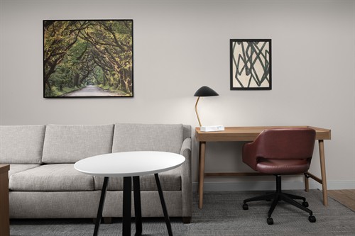 Gallery Image Work_Space_and_Sleeper_Sofas.jpg