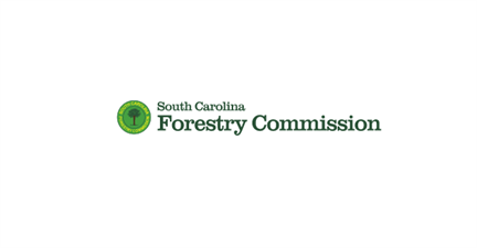 South Carolina Forestry Commission