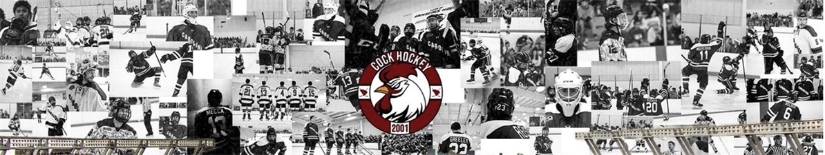 USC - Gamecock Club Hockey