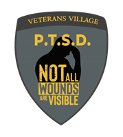 PTSD Veterans Village