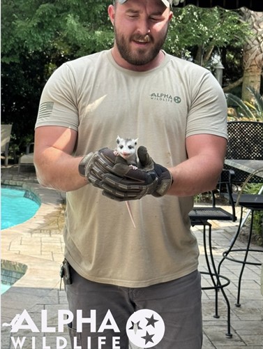 Alpha Wildlife Technician