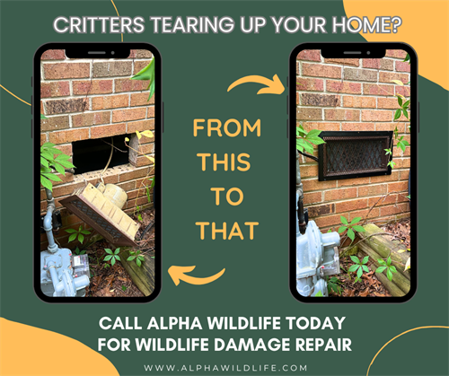 Wildlife damage repair