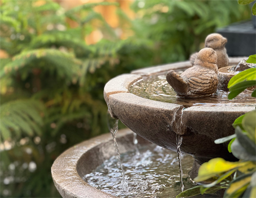 Gallery Image Untitled_design_(2).png