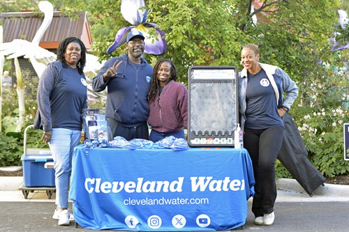 Gallery Image bfac74.jpg