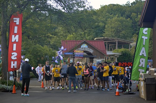 Gallery Image bfac89.jpg