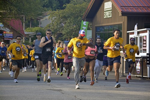 Gallery Image bfac94.jpg