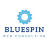 Bluespin Web Consulting, LLC