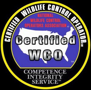Gallery Image NWCOA_WCO_logo.jpg Gallery Image NWCOA_WCO_logo.jpg