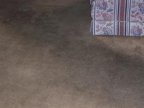Carpet - dirty - BEFORE