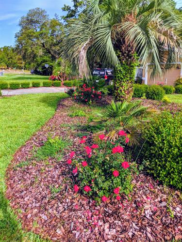 Gallery Image DD_Front_Yard.jpg Gallery Image DD_Front_Yard.jpg