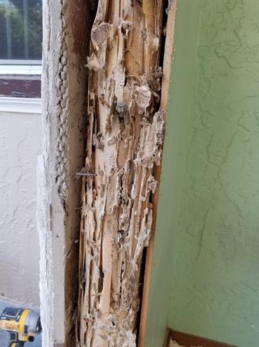 termite damage termite damage