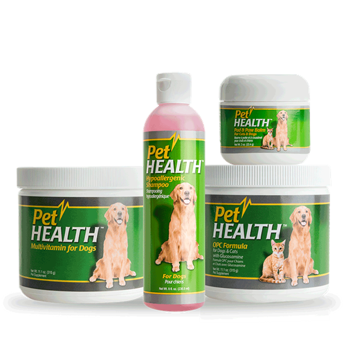 Keep your pet healthy too Keep your pet healthy too