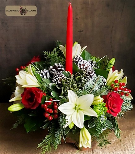 Gallery Image 20251219_081824_edit.jpg