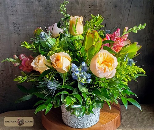 Gallery Image 20251231_122818_edit.jpg