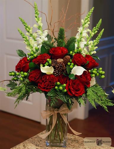 Gallery Image premvasearrange2_edit.jpg