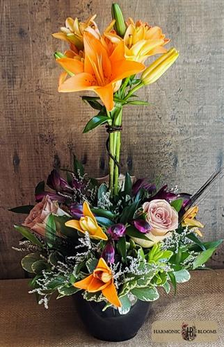 Gallery Image witchtopiary_edit_(1).jpg