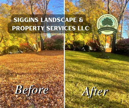 Gallery Image Siggins_Photo_8.PNG