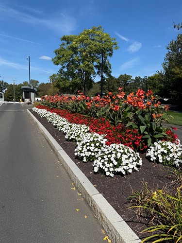 Gallery Image ESPN_Entrance_with_Annuals.jpg