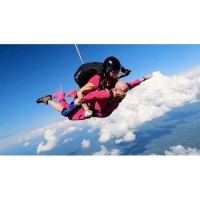 In the Pink—for a Worthwhile Cause