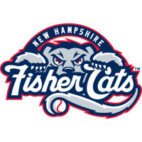NH Fisher Cats Chamber Mixer