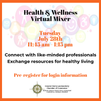 Health & Wellness Virtual Mixer