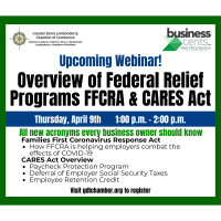 WEBINAR: Overview of Federal Relief Programs FFCRA and CARES Act
