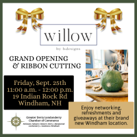 Ribbon Cutting & Grand Opening at Willow by B Designs!