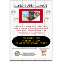 Lunch & Learn: Wonderpup Dog Training