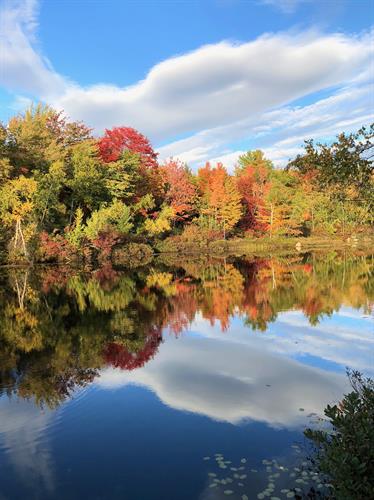 Fall in New England - Frye Island, Maine Fall in New England - Frye Island, Maine
