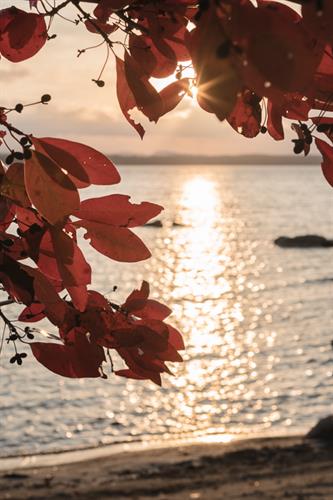 Fall in New England  - Sebago Lake, Maine