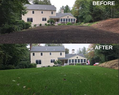 Compost Topdressing Before & After of lawn damaged by Chinch Bugs Compost Topdressing Before & After of lawn damaged by Chinch Bugs