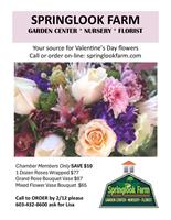 Springlook Farm Garden Center Nursery Florist - Derry