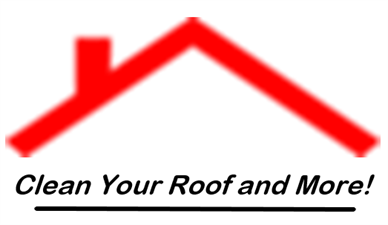 Clean Your Roof and More!
