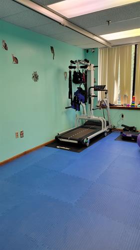 Our SoloStep and LiteGait systems allow us to safely get everyone up and active during PT