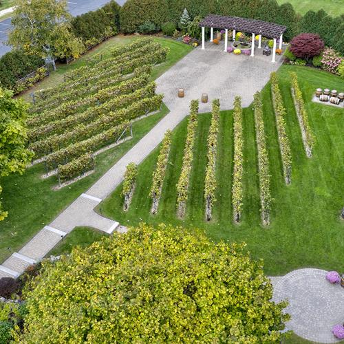 Aerial Drone HDR Imagery of Destination Event Venue Birch Wood Vineyards Aerial Drone HDR Imagery of Destination Event Venue Birch Wood Vineyards