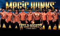 Magic Hunks: Wild Nights Tour