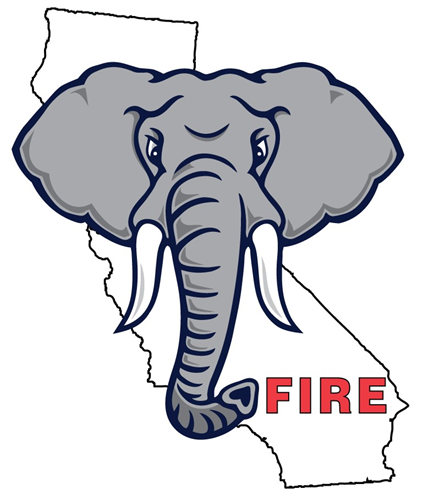 Elephant Fire 